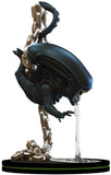 Quantum Mechanix QMx - Alien - Xenomorph Q-Fig