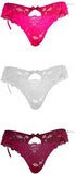 Besame Women Bikini Panties Lace Underwear Lingerie One Size