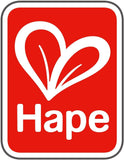 Hape Color and Shape Wooden Block Sorter Game For Toddlers