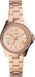 Fossil Women's AM4578 Cecile Small Rose Gold-Tone Stainless Steel Watch